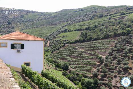 Quinta Do Monte Bravo - Douro - Quarto Duplo Ervedosa do Douro Exterior photo